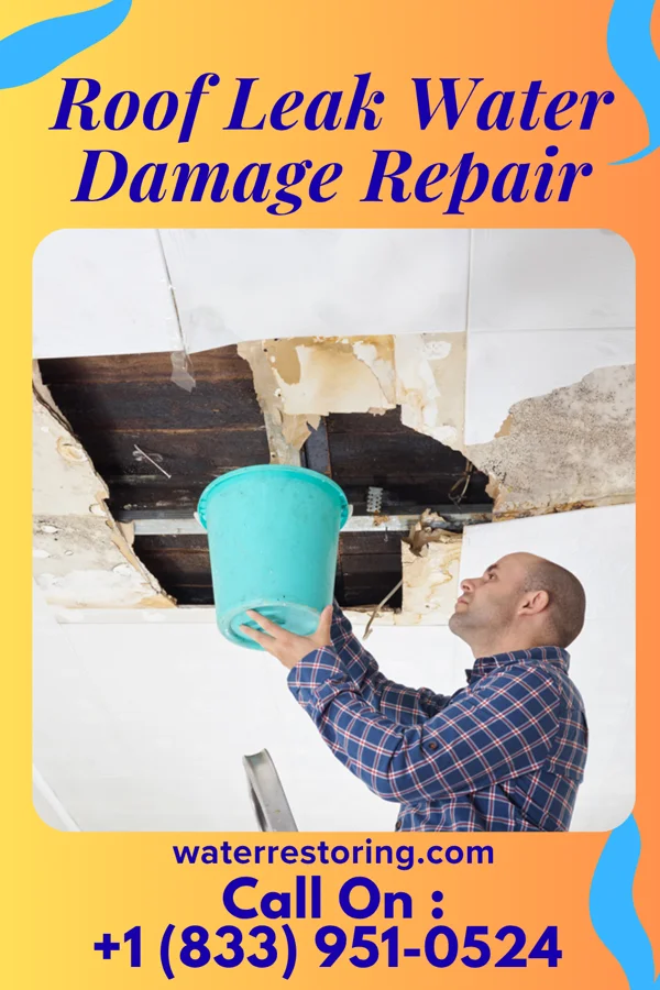 Roof Leak Water Damage Repair in Media, PA