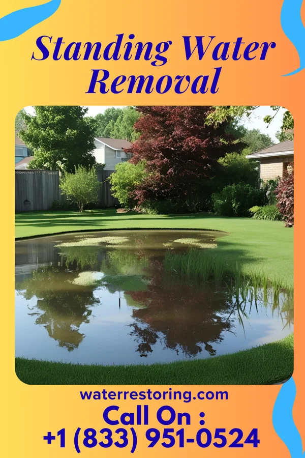 Standing Water Removal in Media, PA